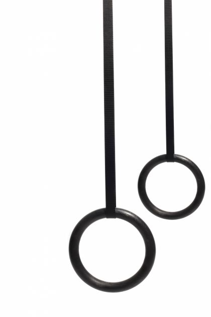 MD Buddy Poly Carbonate Gym Rings