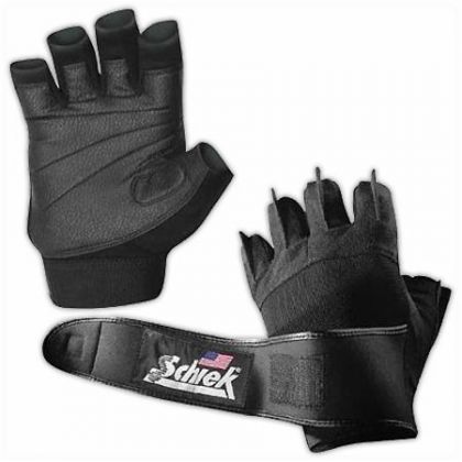 Schiek Platinum 540                                    