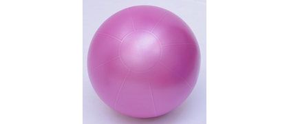 Swiss Pro Ball 55cm Plum