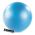 MD Buddy 65cm Exercise Ball with pump